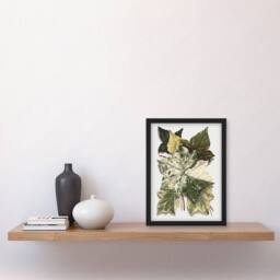 Artery8 Various Ivy Leaves Watercolor Painting Hibberd Framed Wall Art Print in Green - Size: A4 - thumbnail 4