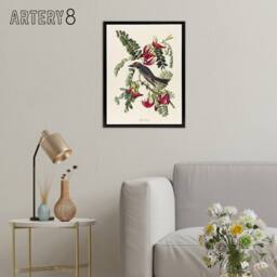 "Artery8 Birds of America Piping Flycatcher Audubon Black Framed Canvas Art in White - Size: W12"" x H16""" - thumbnail 3