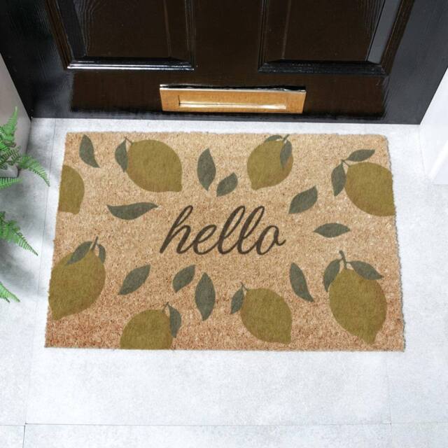 Artsy Mats Hello Lemons Coir Doormat (60 x 40cm) in Brown - Size: 40 cm x 60 cm - image 1