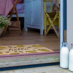 Artsy Mats Hello Lemons Coir Doormat (60 x 40cm) in Brown - Size: 40 cm x 60 cm - thumbnail 4