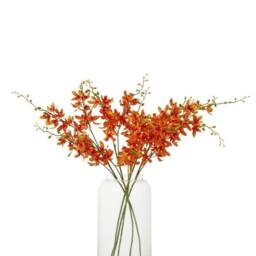 Lemon Pavilion Furniture and Decor Cymbidium Spray (Single Stem Flower) - L10 x W24 x H95 cm - Orange - thumbnail 3