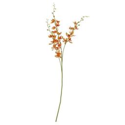 Lemon Pavilion Furniture and Decor Cymbidium Spray (Single Stem Flower) - L10 x W24 x H95 cm - Orange - thumbnail 1