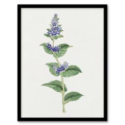 Artery8 Gentian Flower Framed Wall Art Print Vintage Japanese Botanical in Pink - Size: A4 - thumbnail 1