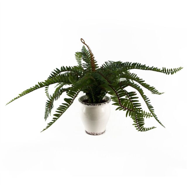 Leaf 40cm Artificial Fern Bush in Decorative Planter in Green - image 1