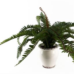 Leaf 40cm Artificial Fern Bush in Decorative Planter in Green - thumbnail 3