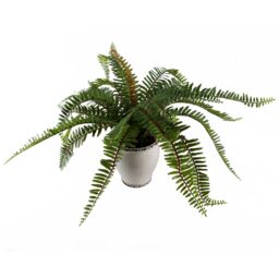 Leaf 40cm Artificial Fern Bush in Decorative Planter in Green - thumbnail 5