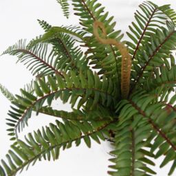 Leaf 40cm Artificial Fern Bush in Decorative Planter in Green - thumbnail 4