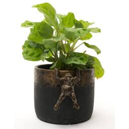 Jardinopia Orangutan Plant Pot Hanger - L11.5 x W7 x H5.5 cm in Bronze - thumbnail 6