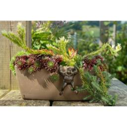 Jardinopia Orangutan Plant Pot Hanger - L11.5 x W7 x H5.5 cm in Bronze - thumbnail 4