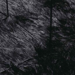 Berkfield Home Shaggy Rug High Pile NAVARRA Black 160x160 cm Polyester - Size: Medium - thumbnail 7
