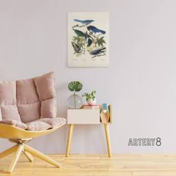 "Artery8 Magpie Clarks Crow & Jays Audubon Nature Canvas Wall Art in White - Size: W18"" x H24""" - thumbnail 3