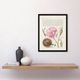 Artery8 Damselfly Rose Chestnut Spider Calligraphy Framed Wall Art Print in White - Size: A4 - thumbnail 4