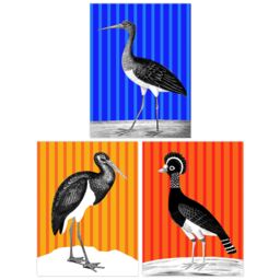 Artery8 Wall Art Print Pack of 3 A4 Bird on Striped Blue Yellow Orange Colourful Bright Modern Living Room s Set - thumbnail 1