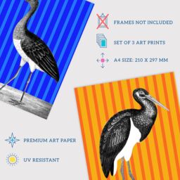 Artery8 Wall Art Print Pack of 3 A4 Bird on Striped Blue Yellow Orange Colourful Bright Modern Living Room s Set - thumbnail 4