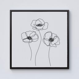 Warren Reed - Designer Monochrome Line Drawn Poppies Framed Canvas in Black - Size: w10 inch x h10 inch - thumbnail 1