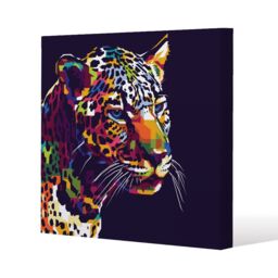 Benjamin Tate Design leopard face with pop art style (Canvas Print) / 61 x 61 x 4cm in Natural - Size: 61 x 61 x 4 cm - thumbnail 1