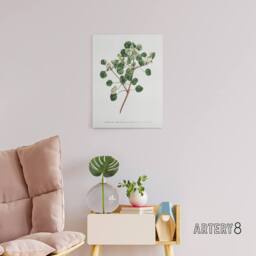 "Artery8 Francis Sansom Manchineel Berry Flowering Plant Canvas Wall Art Print in White - Size: W12"" x H16""" - thumbnail 3