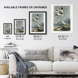 Artery8 Birds of America Snow Bunting Audubon Nature Framed Wall Art Print in Grey - Size: A4 - thumbnail 3