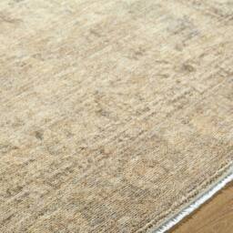 Livabliss Galey Alix Fetscher II Vintage Beige Green Traditional Fringe Living Rug - Size: 150 cm x 230 cm - thumbnail 8