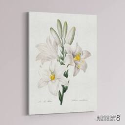 "Artery8 White Lily Botanical Redoute Vintage Canvas Wall Art - Size: W18"" x H24""" - thumbnail 2