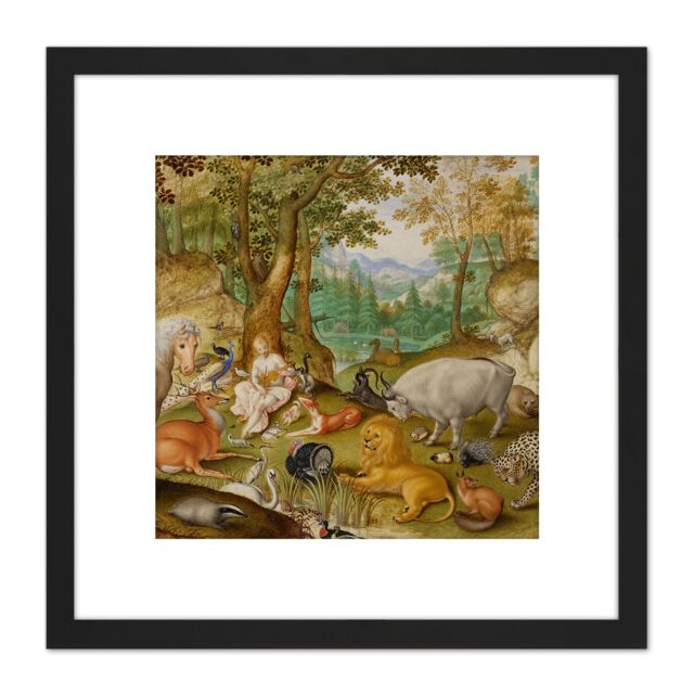 Artery8 Jacob Hoefnagel Orpheus Charming The Animals Cropped 8X8 Inch Square Wooden Framed Wall Art Print Picture with Mount in Black - image 1