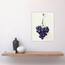 "Artery8 Bunch of Blue Grapes Oil Jean Bernard Vintage Wall Art Print Poster in White - Size: W18"" x H24""" - thumbnail 4