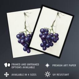 "Artery8 Bunch of Blue Grapes Oil Jean Bernard Vintage Wall Art Print Poster in White - Size: W18"" x H24""" - thumbnail 2