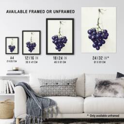 "Artery8 Bunch of Blue Grapes Oil Jean Bernard Vintage Wall Art Print Poster in White - Size: W18"" x H24""" - thumbnail 3