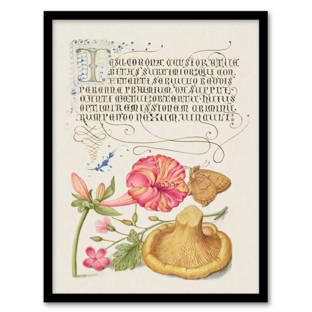 Artery8 Model Book of Calligraphy Framed Wall Art Flowers Mushroom & Butterfly in White - Size: A4 - image 1