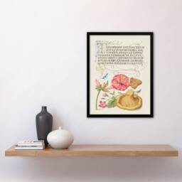 Artery8 Model Book of Calligraphy Framed Wall Art Flowers Mushroom & Butterfly in White - Size: A4 - thumbnail 2