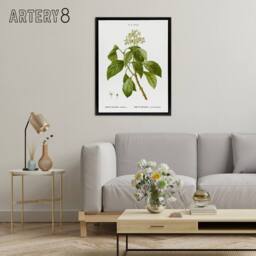 "Artery8 Climbing Hydrangea Flowers Redoute Black Framed Canvas Wall Art in White - Size: W12"" x H16""" - thumbnail 3