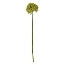 Lemon Pavilion Furniture and Decor Giant Allium (Single Stem Flower), Plastic, L21 x W21 x H90 cm, Green