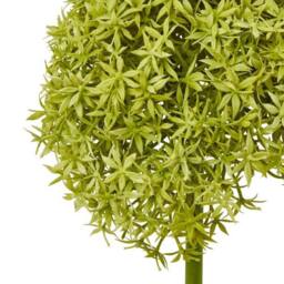 Lemon Pavilion Furniture and Decor Giant Allium (Single Stem Flower), Plastic, L21 x W21 x H90 cm, Green - thumbnail 2