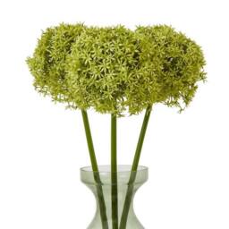 Lemon Pavilion Furniture and Decor Giant Allium (Single Stem Flower), Plastic, L21 x W21 x H90 cm, Green - thumbnail 3