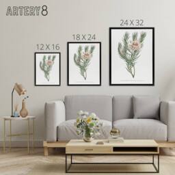 "Artery8 Francis Sansom Dagger Leaf Sugarbush Flower Bloom Framed Canvas Art in White - Size: W12"" x H16""" - thumbnail 4