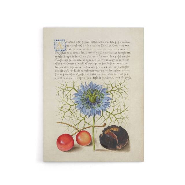 "Artery8 Love in a Mist & Cherries Calligraphy Canvas Wall Art Print in White - Size: W12"" x H16""" - image 1
