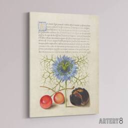 "Artery8 Love in a Mist & Cherries Calligraphy Canvas Wall Art Print in White - Size: W12"" x H16""" - thumbnail 2