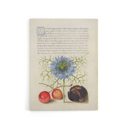 "Artery8 Love in a Mist & Cherries Calligraphy Canvas Wall Art Print in White - Size: W12"" x H16""" - thumbnail 1