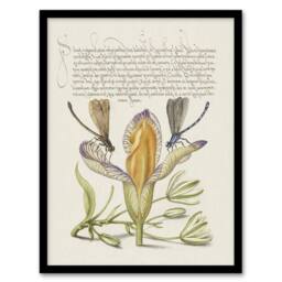 Artery8 Damselflies on Spanish Iris Calligraphy Framed Wall Art Print in Beige - Size: A4 - thumbnail 1