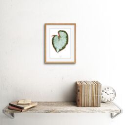 "Artery8 Wall Art Print Leaf Begonia Rex VAR Grandis Art Framed 9x7 inch in Beige - Size: W7"" x H9""" - thumbnail 2