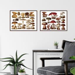 Artery8 Wall Art Print Vintage Poisonous & Edible Mushrooms s Set Of 3 s Study Office Aesthetic Meyers Lexikon A4 - thumbnail 6