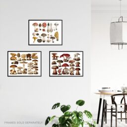 Artery8 Wall Art Print Vintage Poisonous & Edible Mushrooms s Set Of 3 s Study Office Aesthetic Meyers Lexikon A4 - thumbnail 3