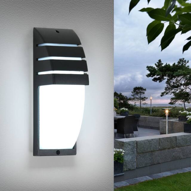 Pheashine Weatherproof Outdoor Wall Light 12W Black IP44 22.5cm Daylight White - image 1