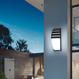 Pheashine Weatherproof Outdoor Wall Light 12W Black IP44 22.5cm Daylight White - thumbnail 4