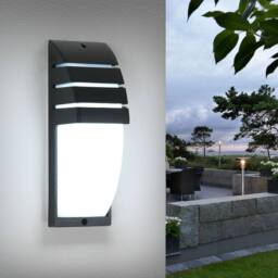 Pheashine Weatherproof Outdoor Wall Light 12W Black IP44 22.5cm Daylight White - thumbnail 1