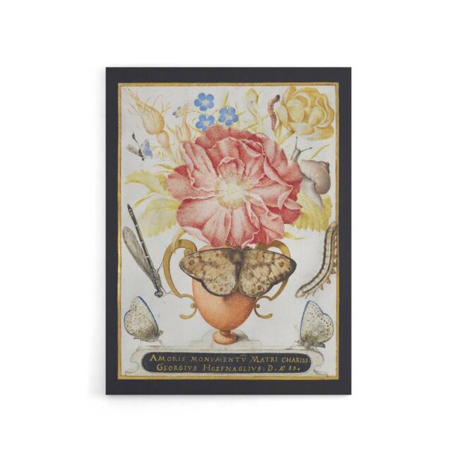 "Artery8 Flowers Snail Insects & Butterflies Hoefnagel Canvas Wall Art Print - Size: W12"" x H16""" - image 1