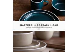Barbary & Oak Nattura 16 Piece Dinner Set Agave in Teal - thumbnail 8
