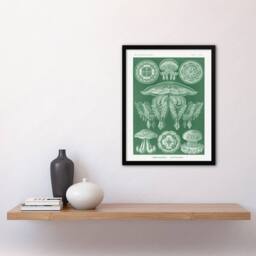 Artery8 Discomedusae Jellyfish Species Haeckel Botanical Framed Wall Art Print in Green - Size: A4 - thumbnail 4