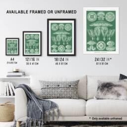Artery8 Discomedusae Jellyfish Species Haeckel Botanical Framed Wall Art Print in Green - Size: A4 - thumbnail 3