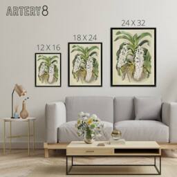 "Artery8 F Sander Saccolabium Giganteum Orchid Flowers Framed Canvas Art Print - Size: W12"" x H16""" - thumbnail 4